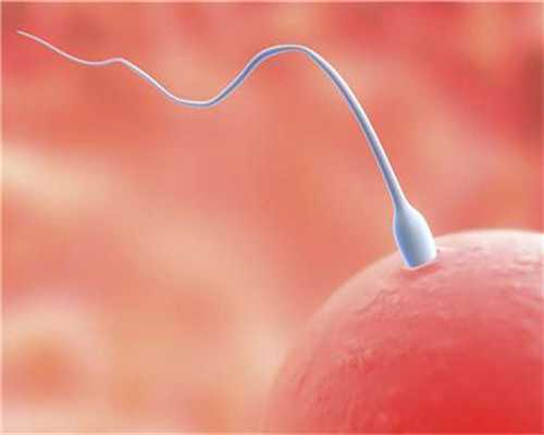 带你认识什么是供卵代孕/自卵代孕？